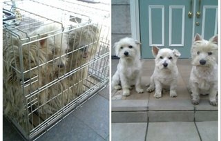 北斗晶が、私は主婦層に支持されてるからな！とテレビで言ってるけど