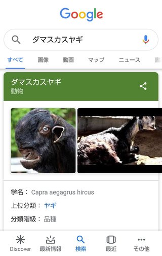 ダマスカスヤギ