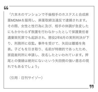 矢田亜希子、息子の遠足引率で電車乗れず担任から注意…他の親からも「一番見張られていた」