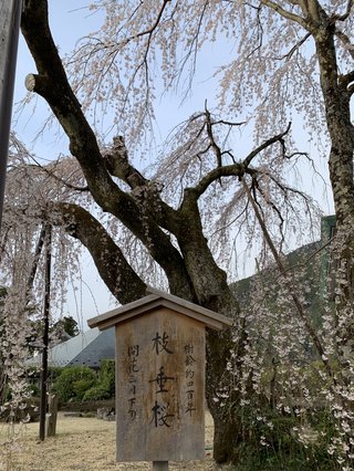 &#x{11:F8E2};なんでもいｰから&#x{11:F8E2};