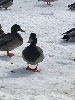 &#x{11:F8E2};なんでもいｰから&#x{11:F8E2};