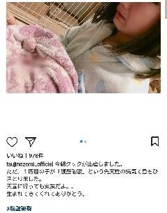 後藤真希、矢口真里、辻希美、誰が一番許せない？