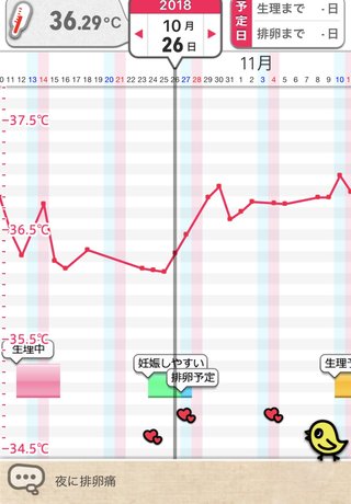 超初期のエコーからの週数確定について
