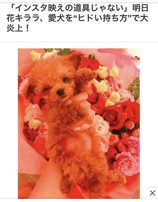 明日花キララの実家でお父さんが飾ってくれてたんだって