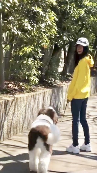 動画で分かる、kokiの低身長と足の短さ