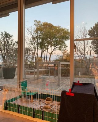 “炎上”梅宮アンナの反論に「この人ホント分かってない」の呆れ声