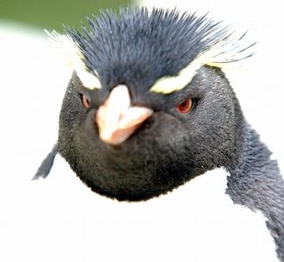 ｻｯｶｰ&#x{11:F8B7};総合ﾄﾋﾟ