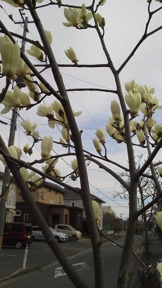 &#x{11:F8E2};なんでもいｰから&#x{11:F8E2};