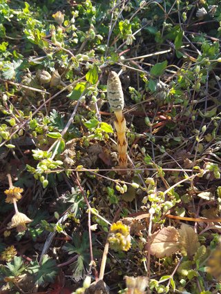 松居一代  IDアリ 多少のトピずれ・自分語りOK・人生いろいろ