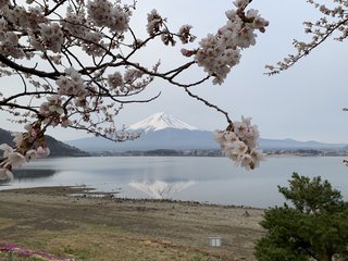 &#x{11:F8E2};なんでもいｰから&#x{11:F8E2};