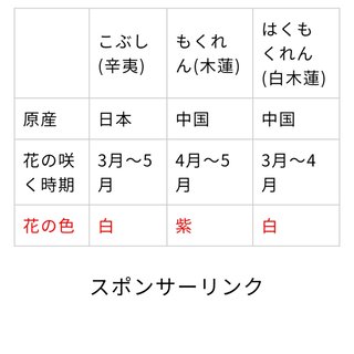 海老蔵～何でもあり