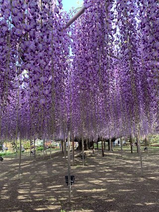 &#x{11:F8E2};なんでもいｰから&#x{11:F8E2};