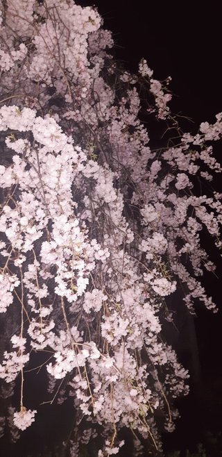 &#x{11:F8E2};なんでもいｰから&#x{11:F8E2};