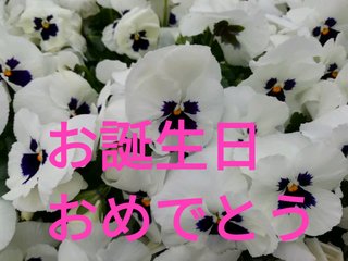 今日誕生日なんだけどさ