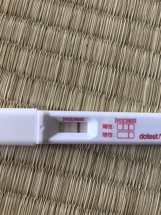 【妊娠検査薬フライング判定】写真はこちら【専用】