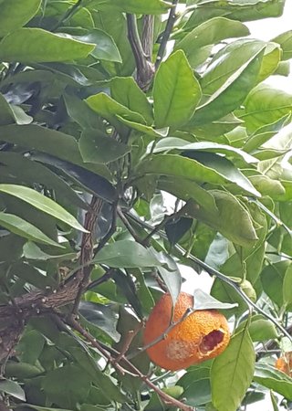 松居一代  IDアリ 多少のトピずれ・自分語りOK・人生いろいろ