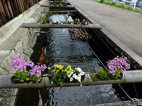 クリークに転落か　５歳男児が死亡　防カメに１人で歩く姿映る