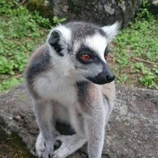 ダレノガレ、本番中に吉沢亮口説き炎上