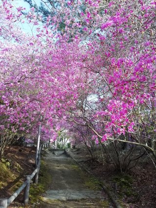 海老蔵～何でもあり