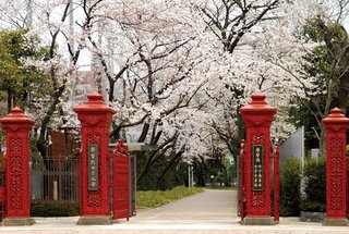 学習院女子部 の挨拶は   「 ごきげんよう 」