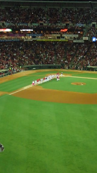 【プロ野球】応援しよう！