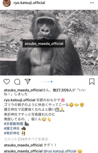 前田敦子のお弁当がすごい