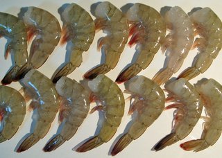 クレイジージャーニーで虫食べてる