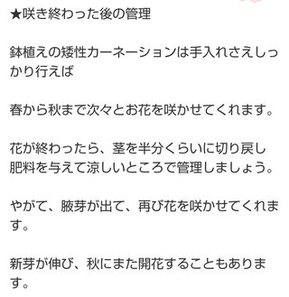 海老蔵～何でもあり