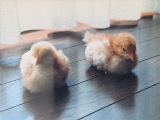 松居一代  IDアリ 多少のトピずれ・自分語りOK・人生いろいろ