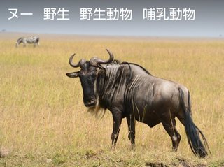 【白い巨塔】(テレビ朝日系／5月22日～26日21時)