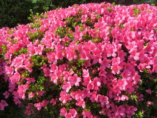 松居一代  IDアリ 多少のトピずれ・自分語りOK・人生いろいろ