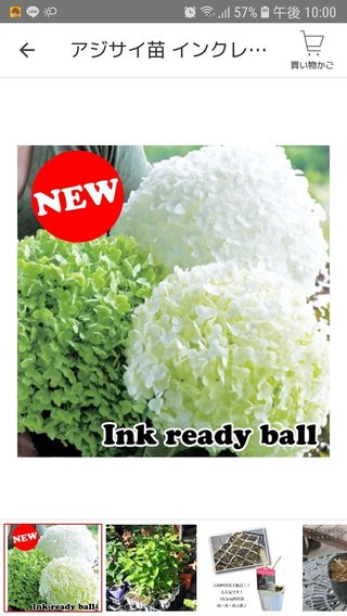 TBS『マツコの知らない世界』火21～