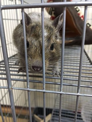 色んな面で恵まれてる人。周りから嫉妬されないようにどういう工夫をしてる？