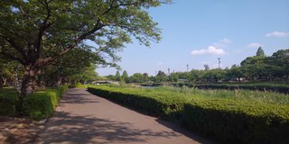 &#x{11:F8E2};なんでもいｰから&#x{11:F8E2};