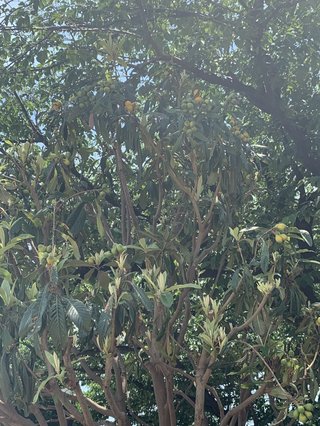 &#x{11:F8E2};なんでもいｰから&#x{11:F8E2};