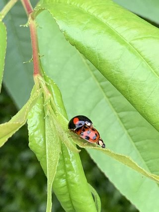 &#x{11:F8E2};なんでもいｰから&#x{11:F8E2};