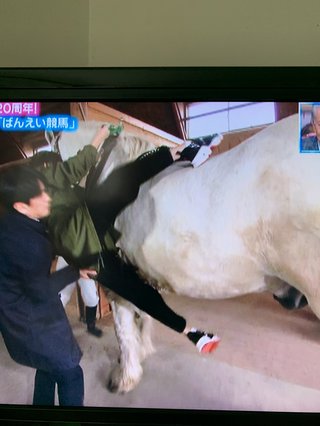 ぴったんこカンカン