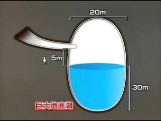 私、海洋恐怖症みたいです