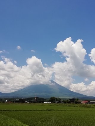 海老蔵～何でもあり