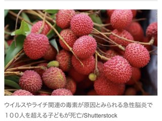 脳炎で死亡した子ども１００人超す、ライチとの関係は依然不明　インド