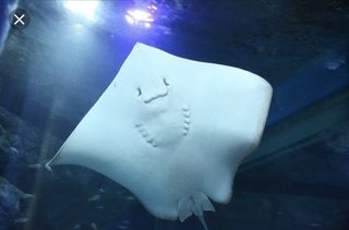 口角が上がった女の子可愛い