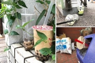 タピオカミルクティーのポイ捨て、飲み残しに虫…インスタに出てこない悪影響