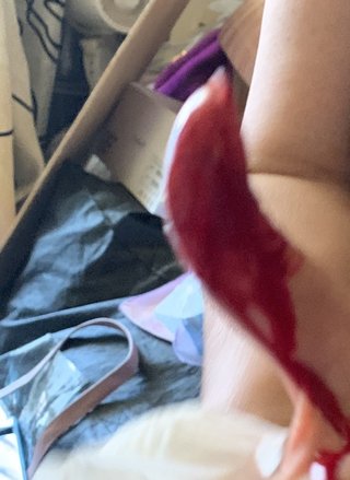 最後の願い　ネコにゃんたすけてpart2