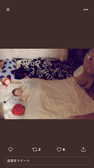 2歳の娘死亡　傷害容疑で母親(21)と交際相手(24)逮捕　体には複数のけが、日常的に虐待か