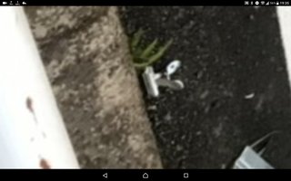 【訃報】愛知県を中心に活躍する大物YouTuber、大型トラックに轢かれ死亡か。