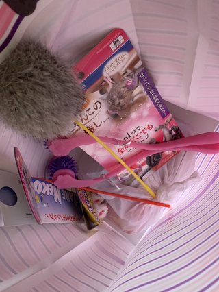 最後の願い　ネコにゃんたすけてpart2