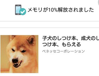 どうでもいい報告してください