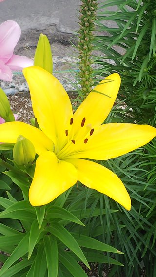 &#x{11:F8E2};なんでもいｰから&#x{11:F8E2};