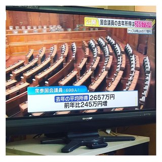 これ見た？国会議員の所得