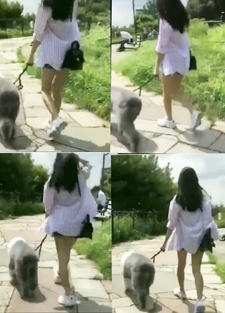 koki、動画だと常に脚が短い、、、。